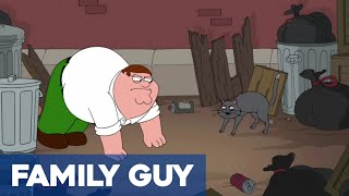 Peter Has A Turf War With A Cat