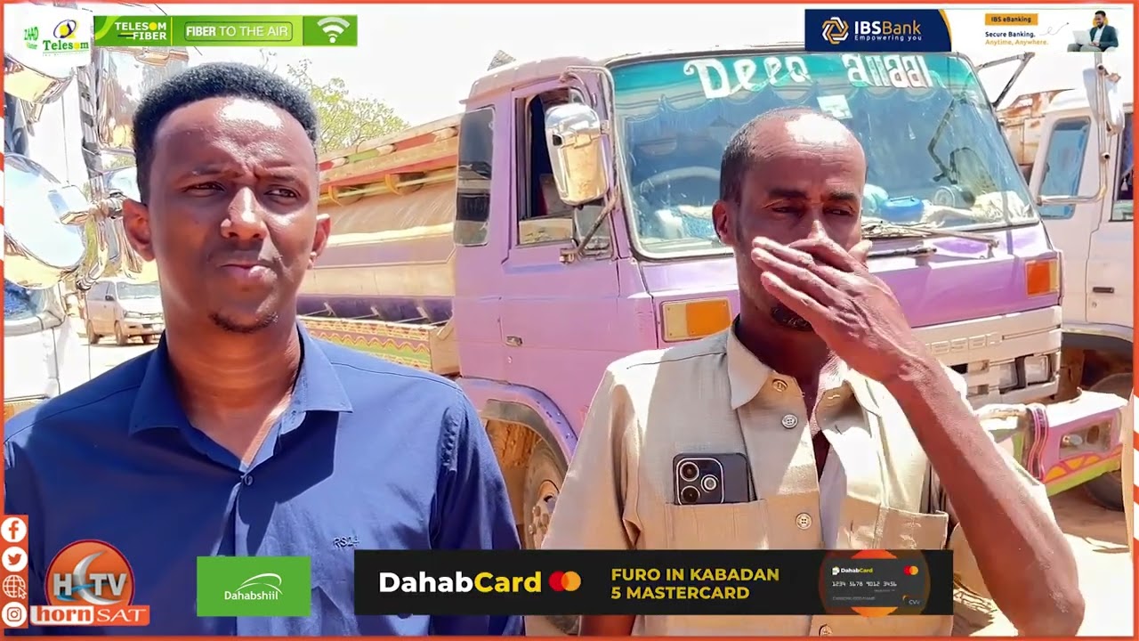 48-часовое путешествие с целью наблюдения за состоянием людей и животных, а также для...