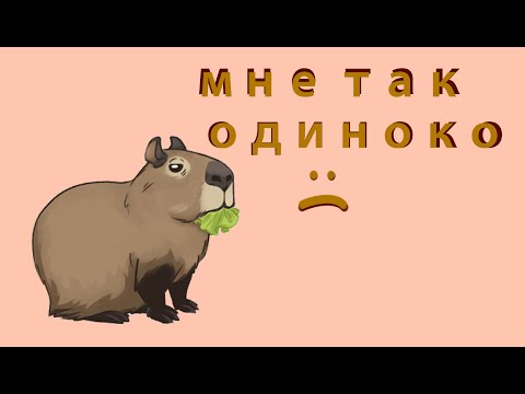 Нужна ли морской свинке пара? Одиночество морской свинки