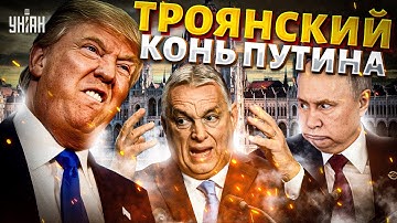 Громкая ОТСТАВКА в Венгрии! Орбан должен УЙТИ: дружка Путина ГОНЯТ В ШЕЮ. Будапешт ВЗОРВАЛСЯ бунтами