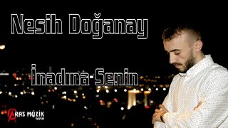 Nesih Doğanay - İnadına Senin 2020 Resimi