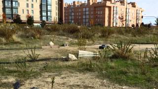 Sanchinarro Losi SCTE 20131110.mp4(1)