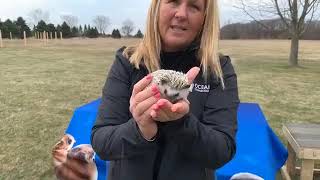 Survival of the Species - Virtual Field Trip