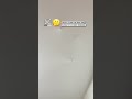 How did it get up there?🤨