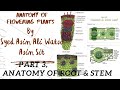 Anatomy of Flowering Plants|| Stem and Leaf anatomy|| Part 3