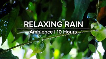 🌿10 Hour | Cozy Window Rain Ambiance: Perfect for Sleep, Study & Meditation | Desember 2025