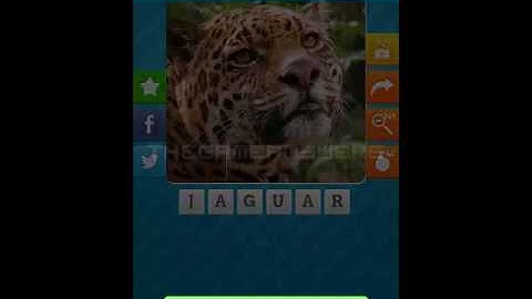 Close Up Animals 2015 Level 15 Answers 1-10