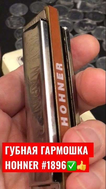 ГУБНАЯ ГАРМОШКА ГЕРМАНИЯ 🇩🇪 HOHNER # 1896 ! - YouTube