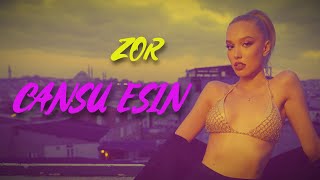 Cansu Esin - Zor Resimi