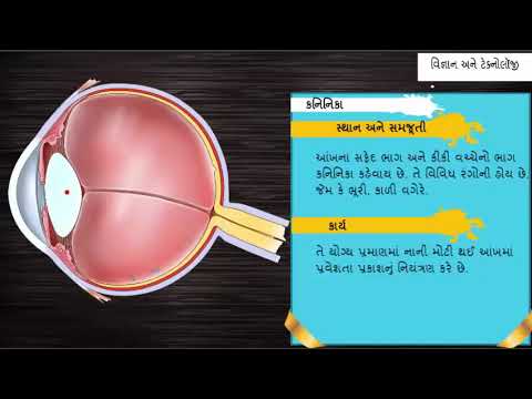 આંખની રચના || Eye || Science