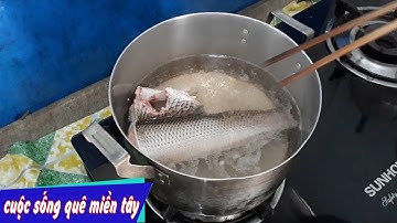 MẸ LÀM MÓN BÚN CÁ LÓC ĐỒNG - Cuộc Sống Quê Miền Tây