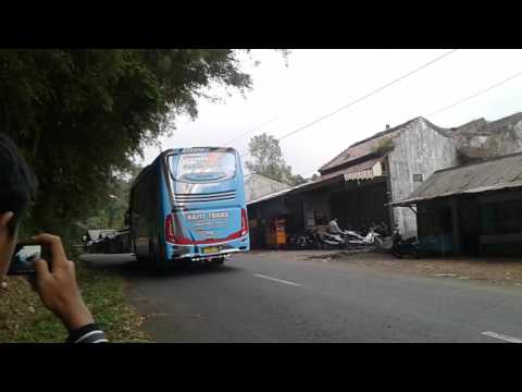Telolet Bus Nafit Trans Shd Keluar Dari Obyek Wisata Linggo Asri