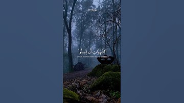 تلاوة جميله للغريد | ياسر الدوسري ❤️ #القران_الكريم #الحمد_لله #تلاوة_خاشعة #تلاوات #ياسر_الدوسري