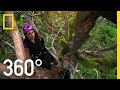 360° Climbing Giants | National Geographic