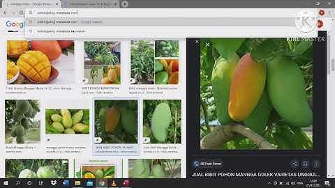 TUTORIAL MEMBUAT DATA KARYAWAN DAN SLIP GAJI MELALUI APK ACCES