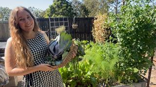 September in our Subtropical Vegetable Garden
