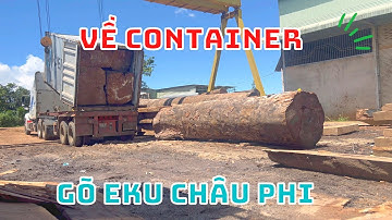 Nghẹt thở: khui container gỗ gõ eku nhập khẩu châu phi | nội thất hương chi