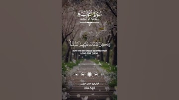 #أرح قلبك و سمعك بكلام الله 🍂📖🤍 #القارئ علاء عقل 🌻🎧🎙️