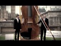 Guinness world records  worlds largest violin