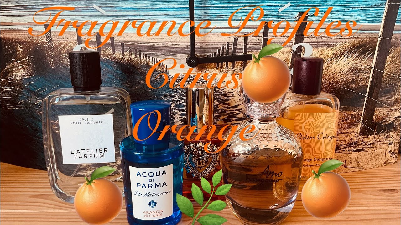 Fragrance Profiles - Citrus - Orange 🍊🍊🍊