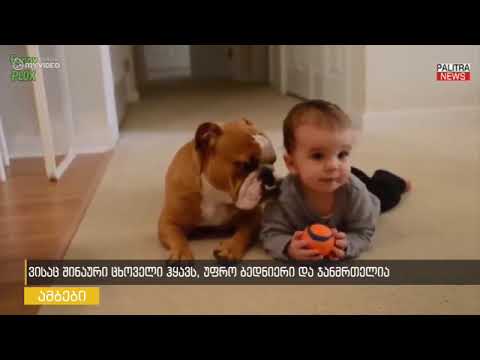 ვისაც შინაური ცხოველი ჰყავს, უფრო ბედნიერი და ჯანმრთელია