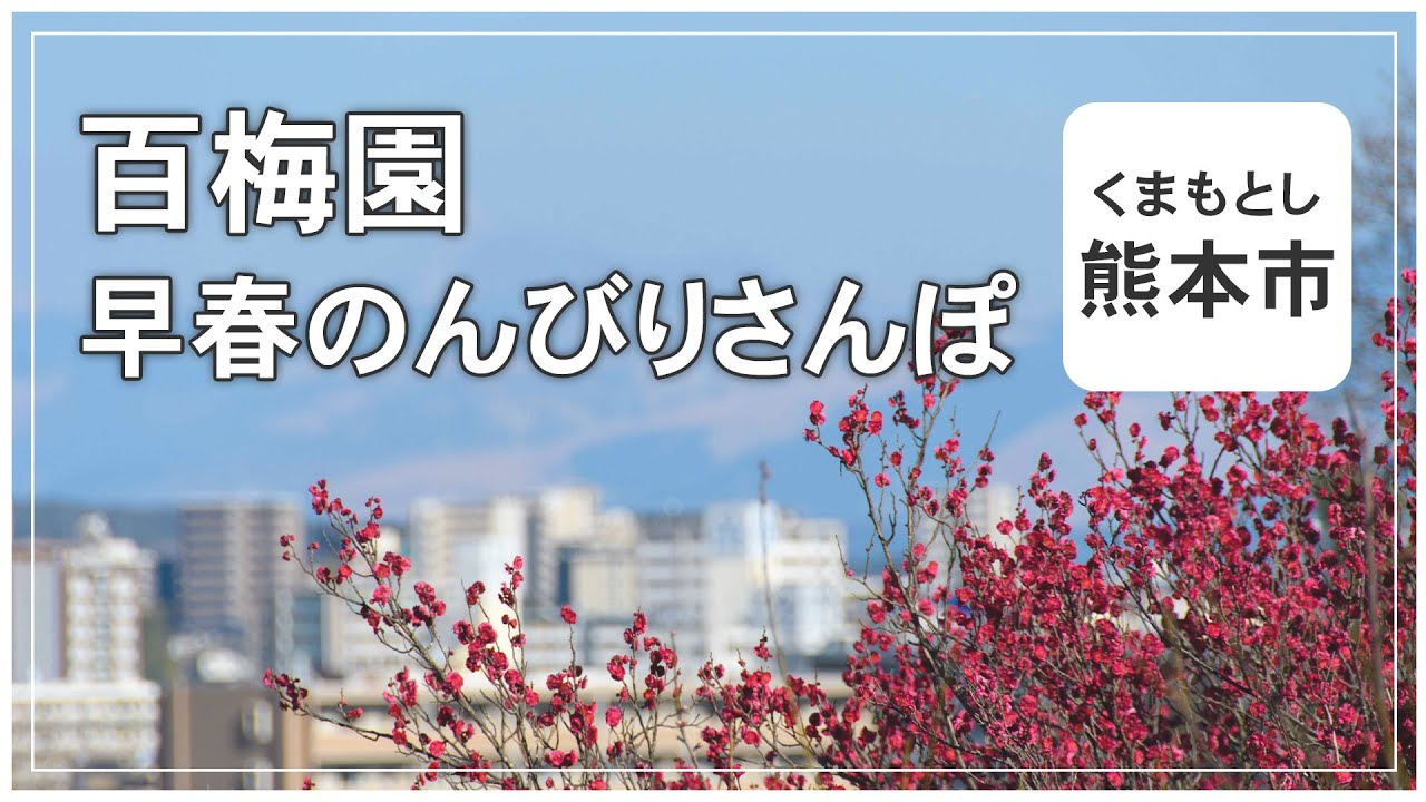 東風吹かば匂いおこせよ百梅園【くまもと散歩】
