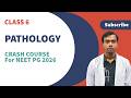 Class 6 Pathology | Crash Course for NEET PG 2026