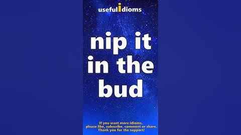 Useful Idioms 116: Nip it in the bud #affirmations #idioms #englishidioms