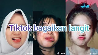 TikTok Terbaruu!! ( Bagaikan Langit Zoom Face )