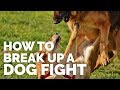 How to Break up a Dog Fight