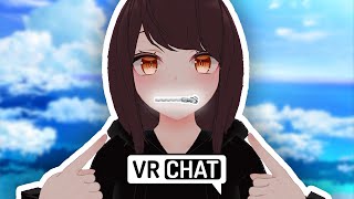 The Deaf and Hard of Hearing of VRChat