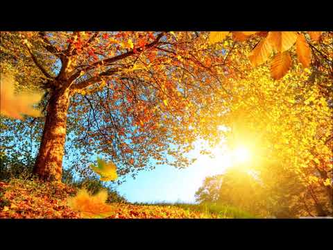 David Bentley Hart All Creation Afire As A Burning Bush
