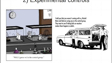 Experimental designs #1