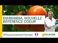 Pourquoi choisir diamandia la nouvelle rfrence tomates cur  passionementtomate  hmclause