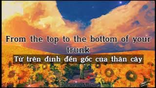 [Lyrics Vietsud] Matcha Puff - heiakim. Chevy