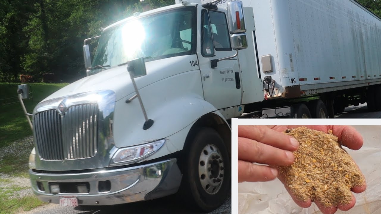 Tractor Trailer Delivered my Chicken Feed! Tractor Trailer Delivered my Chicken Feed!