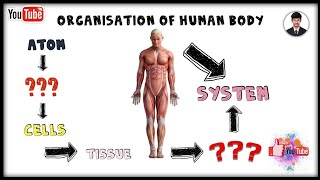 Organization of Human Body | Physiology | in Tamil