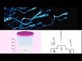 قراءة كاملة لتحليل السائل المنوي مع شرح جد مبسط Spermogramme