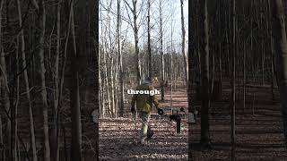 How Powerful Is .454 Casull?