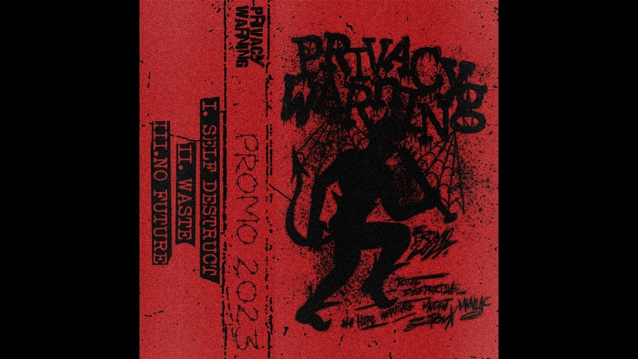 Privacy Warning - Promo 2023 [Hardcore Punk]