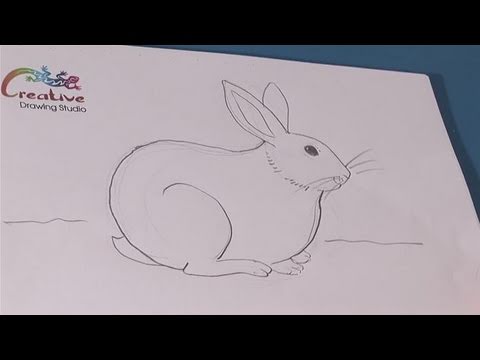 how-to-create-cute-bunny-drawings