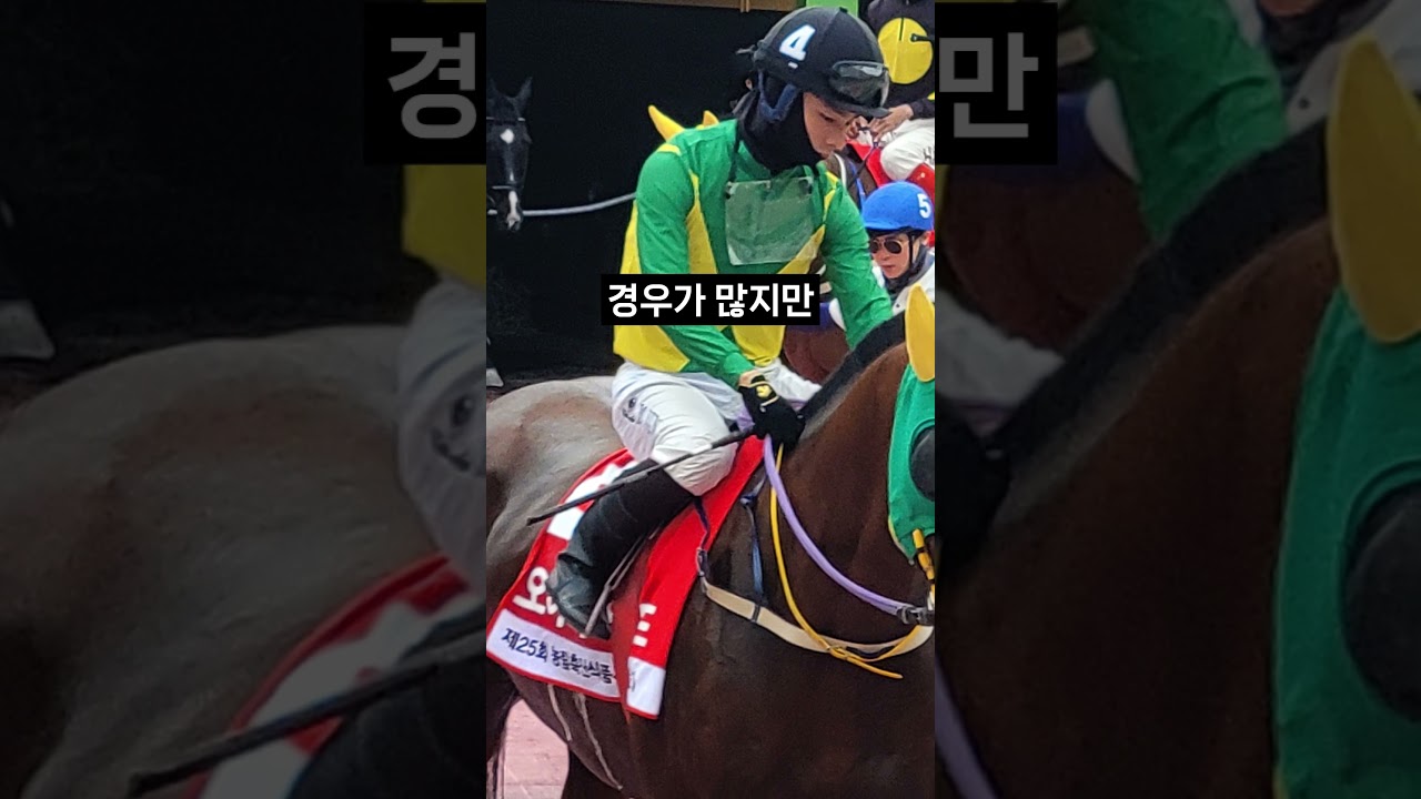 26.01.16 부산경마 03경주