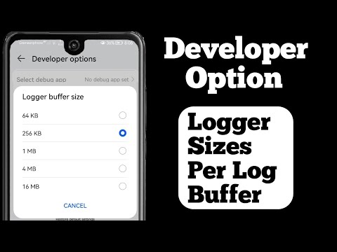 Logger Buffer Size