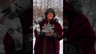 Brenda Fricker Pigeon Lady #history #art #painting Brenda Fricker Pigeon Lady #history #art #painting