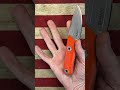The Perfect Pocket Fixed Blade? #youtubeshorts #shorts #youtubeshort #short