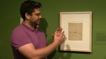 Jordan Shimell on "the pyramidal neuron of the cerebral cortex"