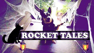 Cattle Dog's Halloween Journey in Search of Treats by FindRocket 194 views 3 years ago 1 minute, 40 seconds