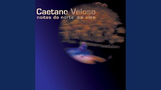 Video thumbnail of "Caetano Veloso - Tigresa (Ao Vivo)"