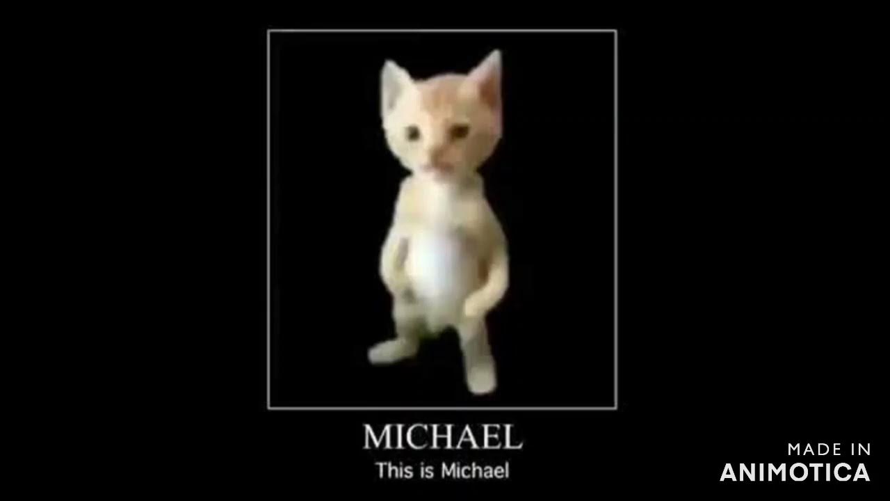 This is he cat. Michael this is Michael. Michael Cat. Кот Мем.