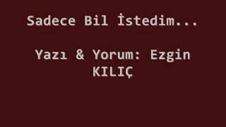 Ezgin KILIÇ - Sadece Bil İstedim Resimi